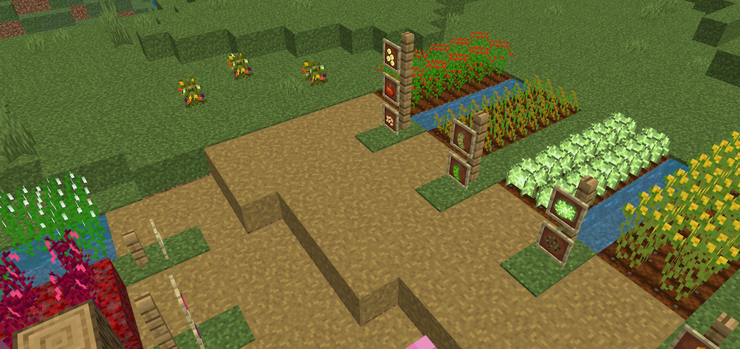 Some of the crops in Creative Cooking growing